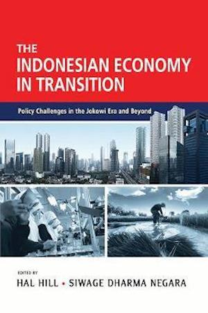 Indonesian Economy in Transition