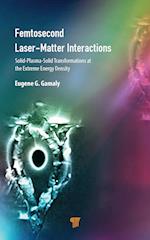 Femtosecond Laser-Matter Interactions