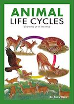 Animal Life Cycles