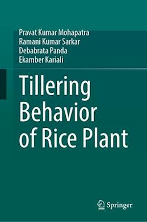 Tillering Behavior of Rice Plant