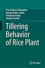 Tillering Behavior of Rice Plant