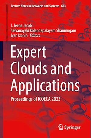 Expert Clouds and Applications