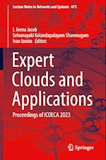 Expert Clouds and Applications