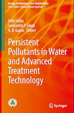 Persistent Pollutants in Water and Advanced Treatment Technology