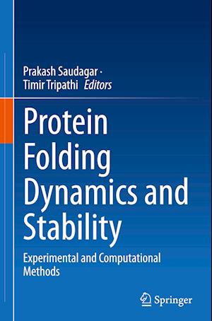 Protein Folding Dynamics and Stability