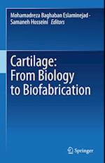 Cartilage: From Biology to Biofabrication
