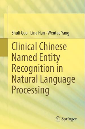Clinical Chinese Named Entity Recognition in Natural Language Processing