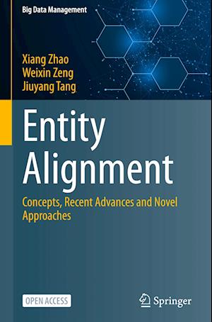 Entity Alignment