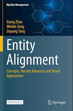 Entity Alignment