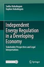 Independent Energy Regulation in a Developing Economy