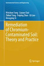 Remediation of Chromium-Contaminated Soil: ?Theory and Practice?