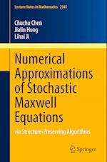 Numerical Approximations of Stochastic Maxwell Equations
