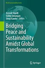 Bridging Peace and Sustainability Amidst Global Transformations
