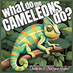 What do the Chameleons Do?