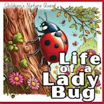 Life of a Lady Bug