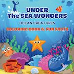 Under the Sea Wonders