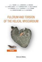 Fulcrum and Torsion of the Helical Myocardium