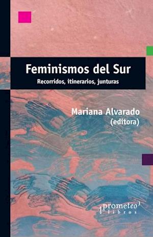 Feminismos del sur