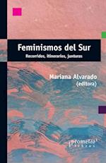 Feminismos del sur