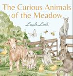 The Curious Animals of the Meadow 