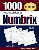 The Giant Book of Numbrix: 1000 Medium (10x10) Puzzles 