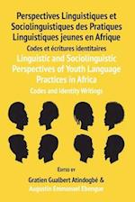Linguistic and Sociolinguistic Perspectives of Youth Language Practices in Africa