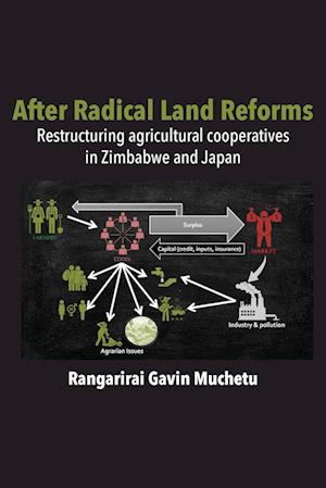 After Radical Land Reform