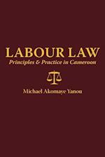 Labour Law: Principles and Practice in Cameroon