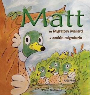 Matt: The Migratory Mallard * el azulón migratorio