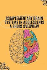 Complementary Brain Systems in Adolescents A Short Overview 