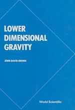 Lower Dimensional Gravity