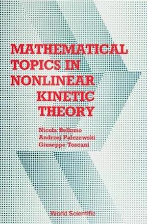 Mathematical Topics in Nonlinear Kinetic