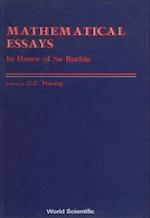 Mathematical Essays: In Honor Of Su Buchin