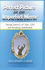 Perfect Picture in an Imperfect Mirror