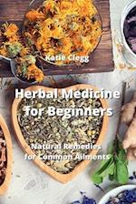 Herbal Medicine for Beginners: Natural Remedies for Common Ailments 