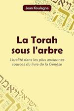 La Torah sous l'arbre