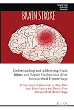 Understanding and Addressing Brain Injury and Repair Mechanisms After Intracerebral Hemorrhage