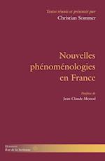 Nouvelles phenomenologies en France