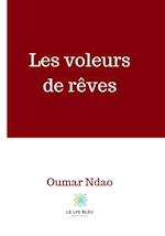 Les voleurs de reves