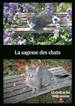 La sagesse des chats