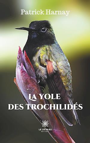 La yole des trochilidés