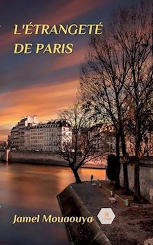 L'étrangeté de Paris