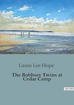 The Bobbsey Twins at Cedar Camp