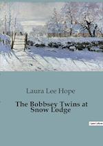 The Bobbsey Twins at Snow Lodge