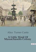 A Little Maid Of Massachusetts Colony