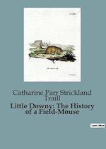 Little Downy: The History of a Field-Mouse