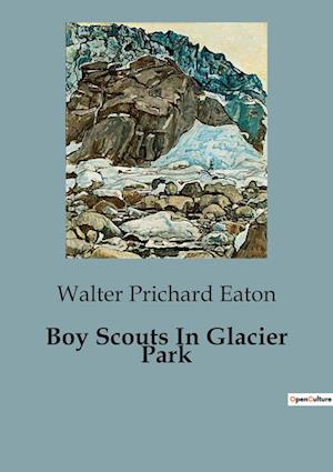 Boy Scouts In Glacier Park