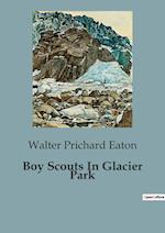 Boy Scouts In Glacier Park