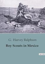 Boy Scouts in Mexico