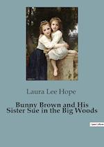 Bunny Brown and His Sister Sue in the Big Woods